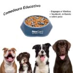 COMEDOURO EDUCATIVO PARA PET - 4